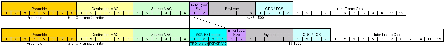 802.1q Header Layout